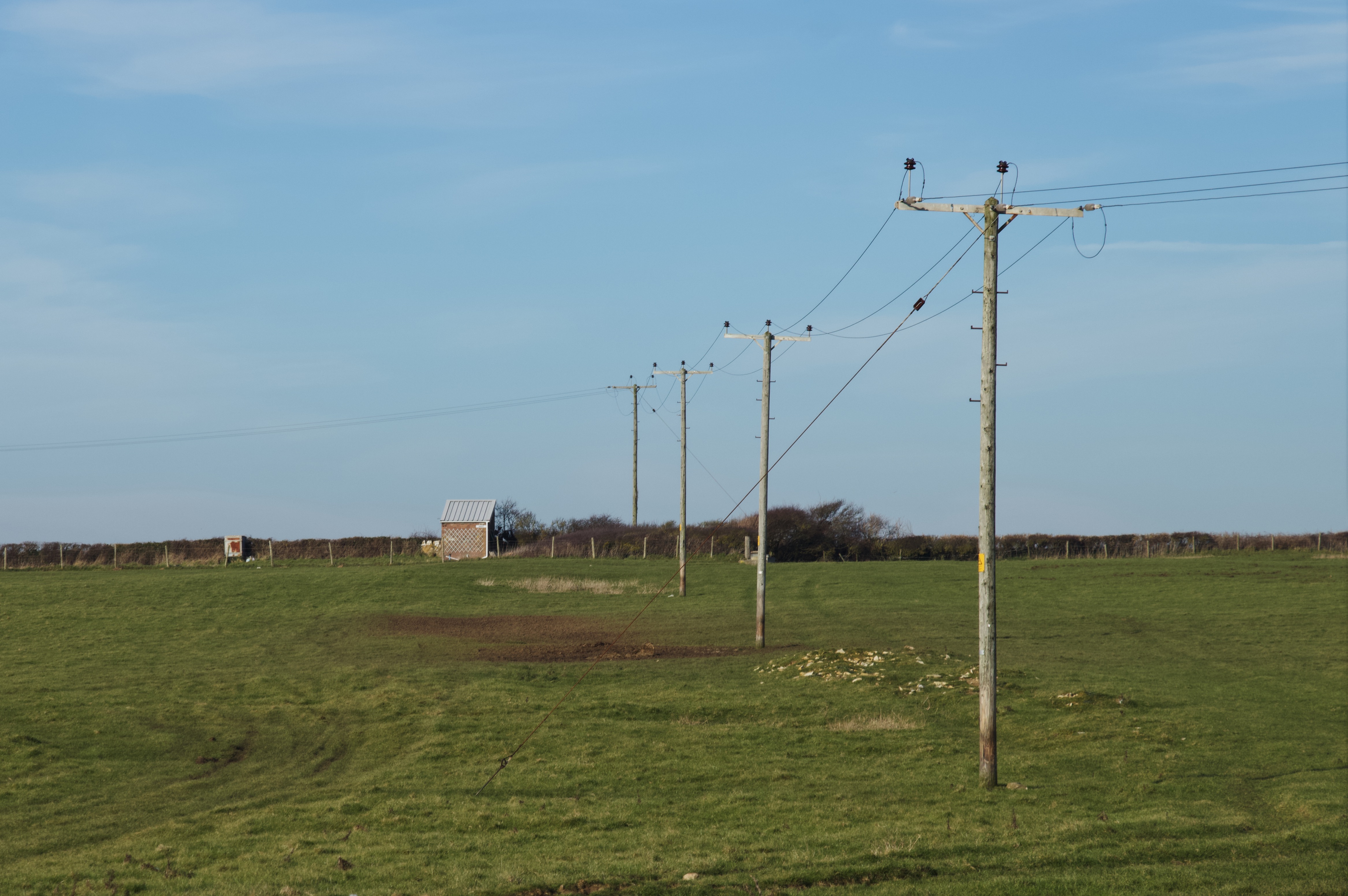 landscape_pole