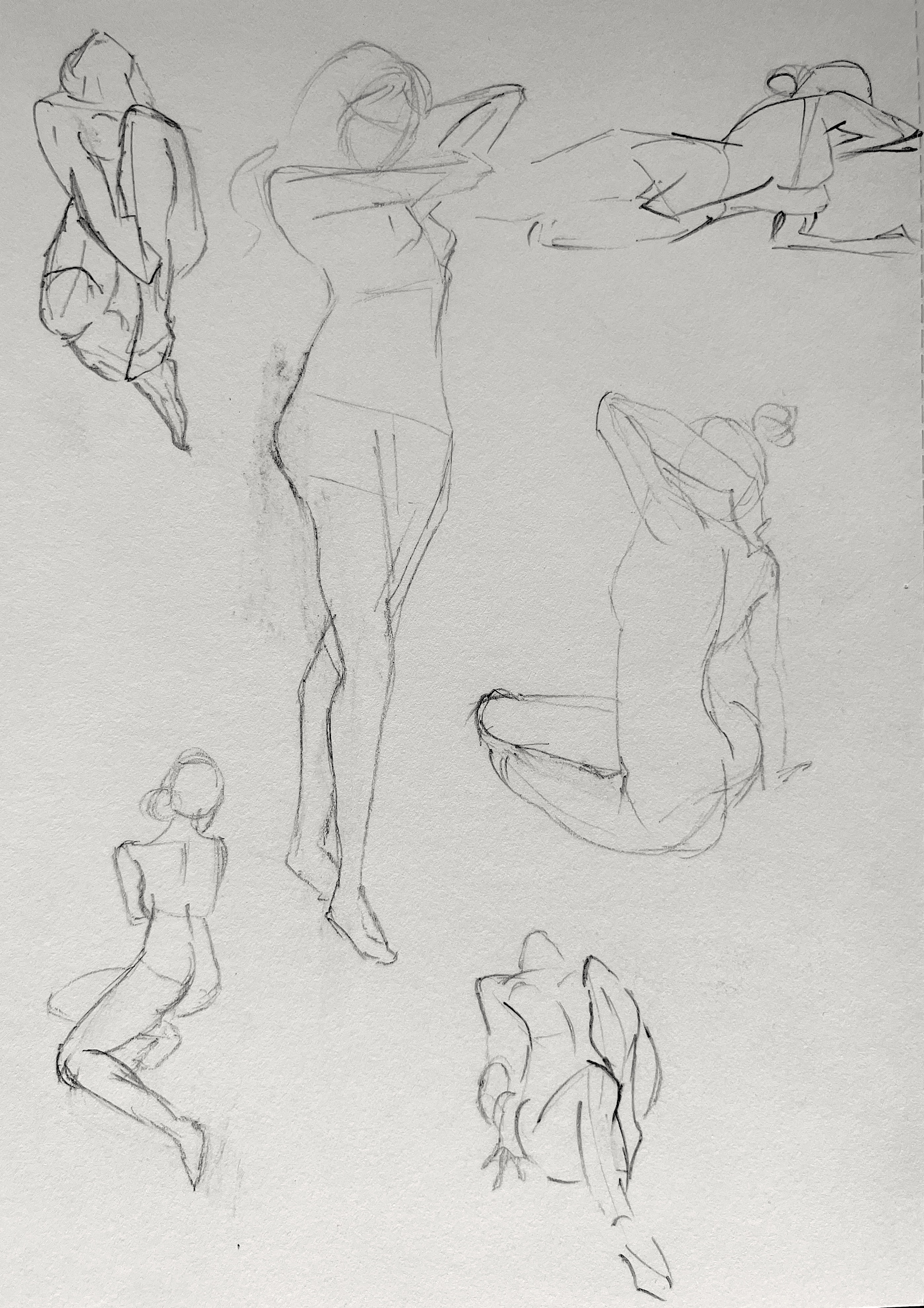 Graphite Anatomy Sketch